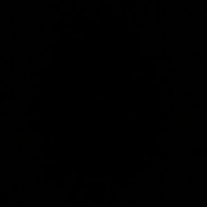 Meet your Posher, Joy